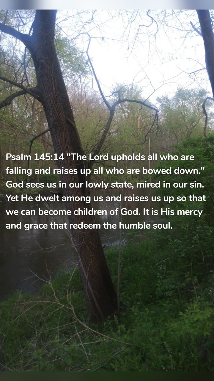 Psalm 145:14 "The Lord upholds all who are falling and raises up all who are bowed down." God sees us in our lowly state, mired in our sin. Yet He dwelt among us and raises us up so that we can become children of God. It is His mercy and grace that redeem the humble soul. 