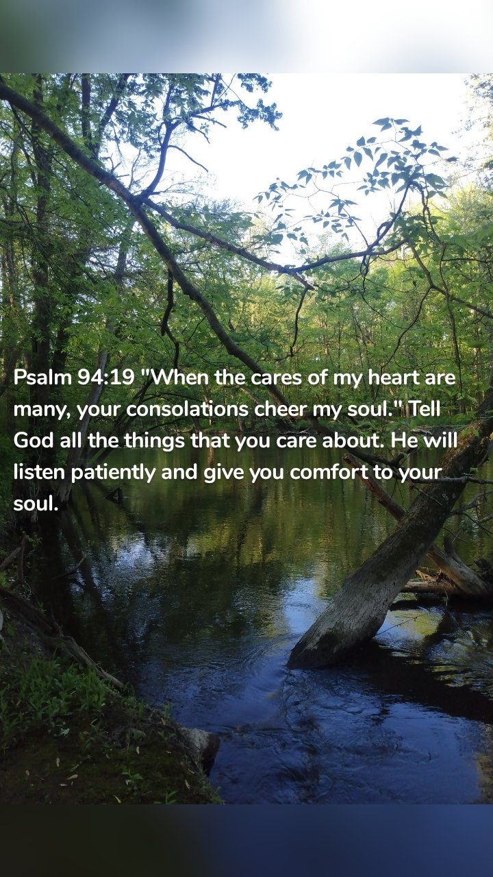 Psalm 94:19 "When the cares of my heart are many, your consolations cheer my soul." Tell God all the things that you care about. He will listen patiently and give you comfort to your soul.