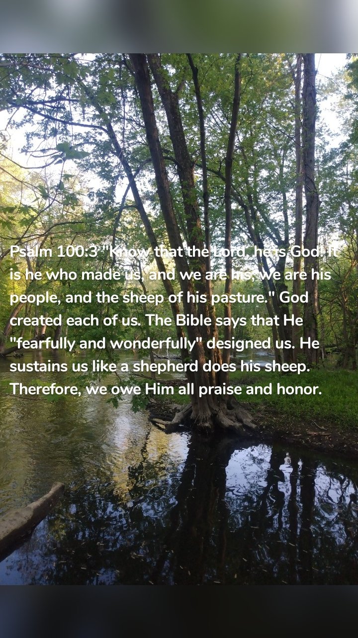 Psalm 100:3 "Know that the Lord, he is God! It is he who made us, and we are his; we are his people, and the sheep of his pasture." God created each of us. The Bible says that He "fearfully and wonderfully" designed us. He sustains us like a shepherd does his sheep. Therefore, we owe Him all praise and honor. 