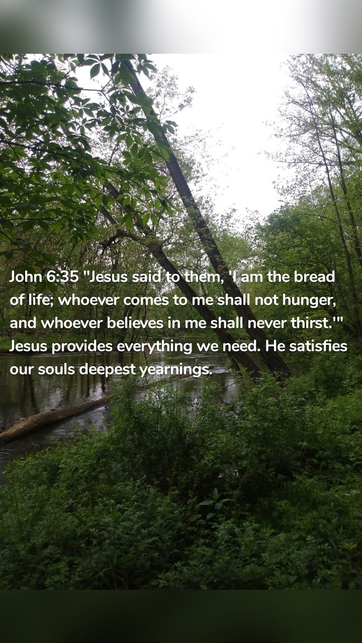 John 6:35 "Jesus said to them, 'I am the bread of life; whoever comes to me shall not hunger, and whoever believes in me shall never thirst.'" Jesus provides everything we need. He satisfies our souls deepest yearnings. 