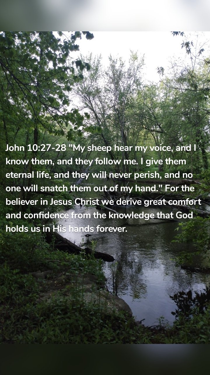 John 10:27-28 "My sheep hear my voice, and I know them, and they follow me. I give them eternal life, and they will never perish, and no one will snatch them out of my hand." For the believer in Jesus Christ we derive great comfort and confidence from the knowledge that God holds us in His hands forever. 