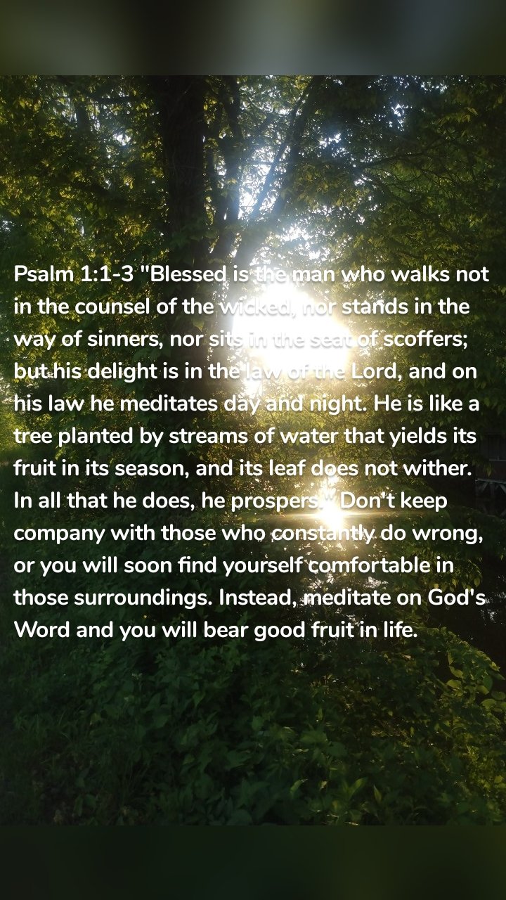 Psalm 1:1-3 "Blessed is the man who walks not in the counsel of the wicked, nor stands in the way of sinners, nor sits in the seat of scoffers; but his delight is in the law of the Lord, and on his law he meditates day and night. He is like a tree planted by streams of water that yields its fruit in its season, and its leaf does not wither. In all that he does, he prospers." Don't keep company with those who constantly do wrong, or you will soon find yourself comfortable in those surroundings. Instead, meditate on God's Word and you will bear good fruit in life. 