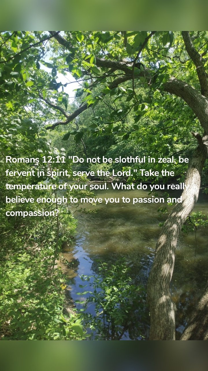 Romans 12:11 "Do not be slothful in zeal, be fervent in spirit, serve the Lord." Take the temperature of your soul. What do you really believe enough to move you to passion and compassion?