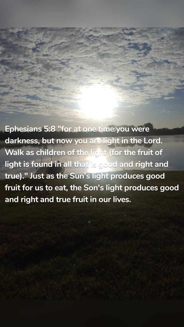 Ephesians 5:8 "for at one time you were darkness, but now you are light in the Lord.  Walk as children of the light (for the fruit of light is found in all that is good and right and true)." Just as the Sun's light produces good fruit for us to eat, the Son's light produces good and right and true fruit in our lives. 