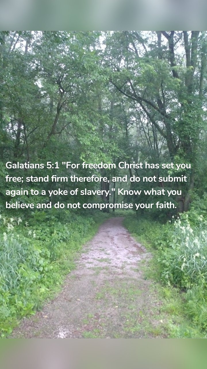 Galatians 5:1 "For freedom Christ has set you free; stand firm therefore, and do not submit again to a yoke of slavery." Know what you believe and do not compromise your faith. 