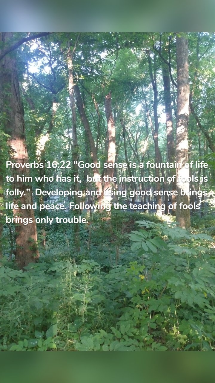Proverbs 16:22 "Good sense is a fountain of life to him who has it,  but the instruction of fools is folly."  Developing and using good sense brings life and peace. Following the teaching of fools brings only trouble. 