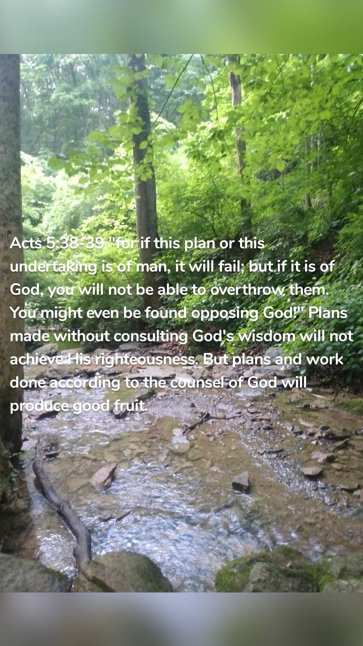 Acts 5:38-39 "for if this plan or this undertaking is of man, it will fail; but if it is of God, you will not be able to overthrow them. You might even be found opposing God!" Plans made without consulting God's wisdom will not achieve His righteousness. But plans and work done according to the counsel of God will produce good fruit. 
