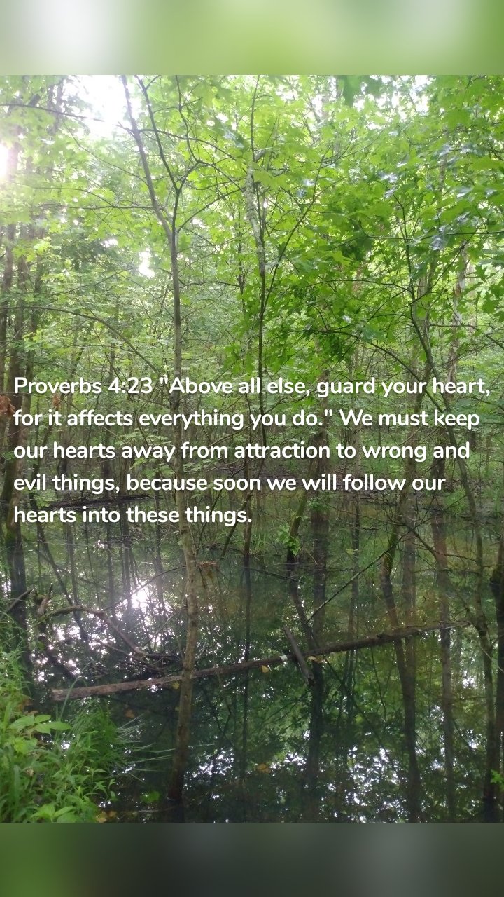 Proverbs 4:23 "Above all else, guard your heart, for it affects everything you do." We must keep our hearts away from attraction to wrong and evil things, because soon we will follow our hearts into these things. 