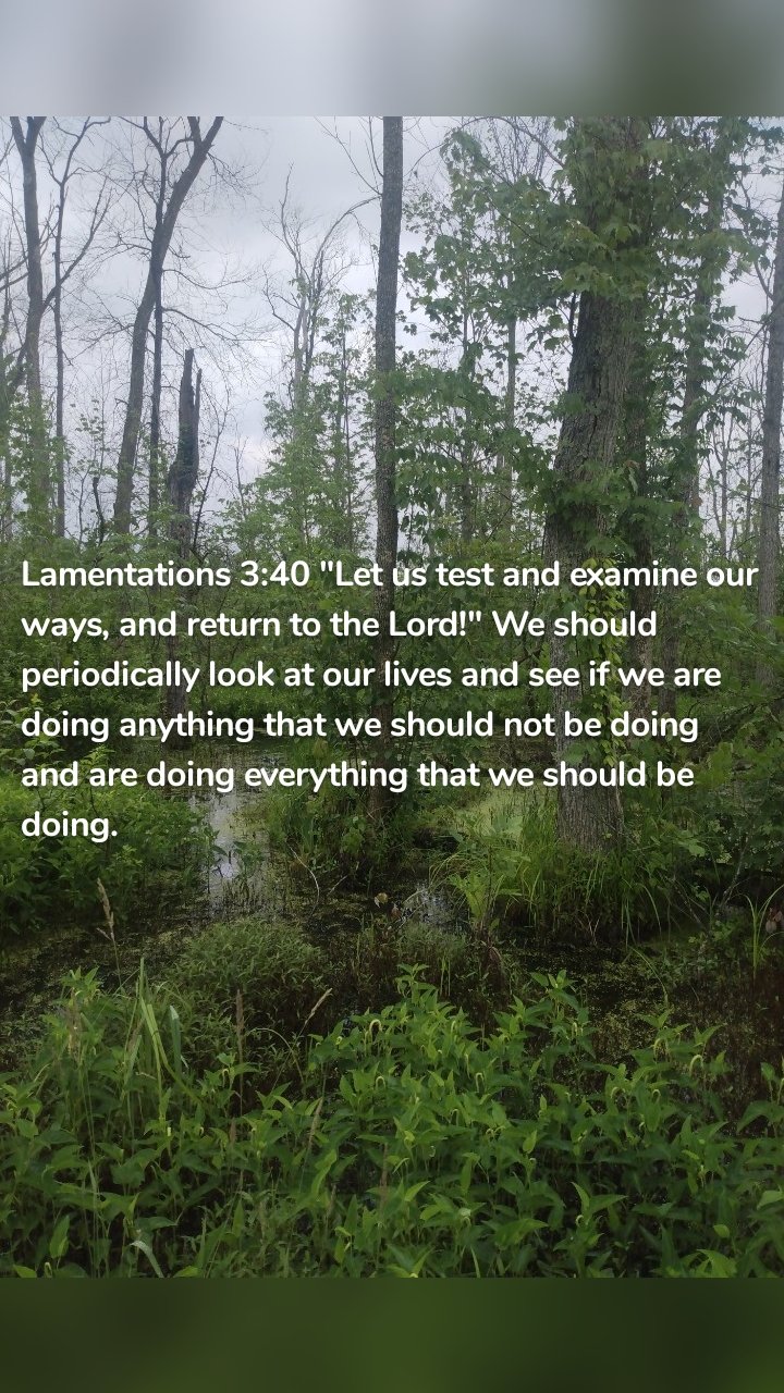 Lamentations 3:40 "Let us test and examine our ways, and return to the Lord!" We should periodically look at our lives and see if we are doing anything that we should not be doing and are doing everything that we should be doing. 
