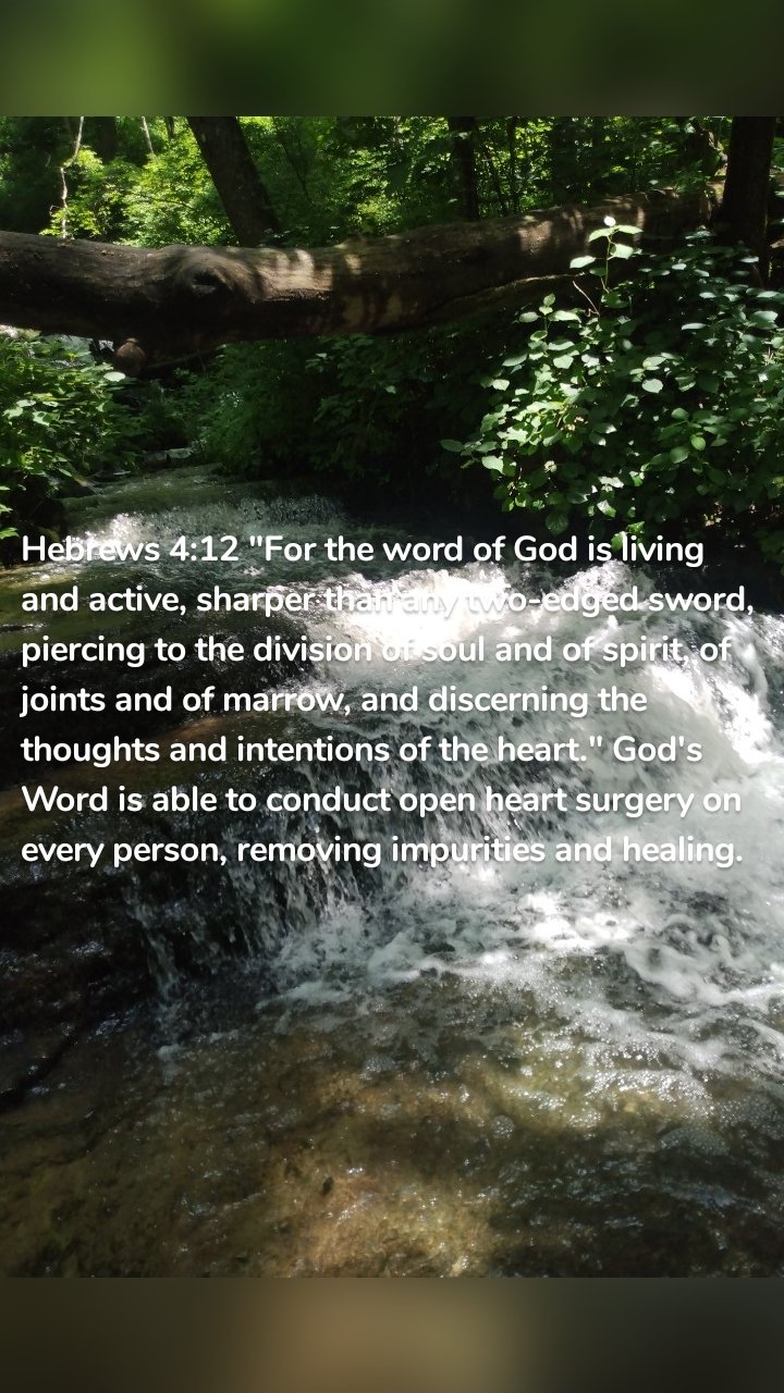 Hebrews 4:12 "For the word of God is living and active, sharper than any two-edged sword, piercing to the division of soul and of spirit, of joints and of marrow, and discerning the thoughts and intentions of the heart." God's Word is able to conduct open heart surgery on every person, removing impurities and healing. 