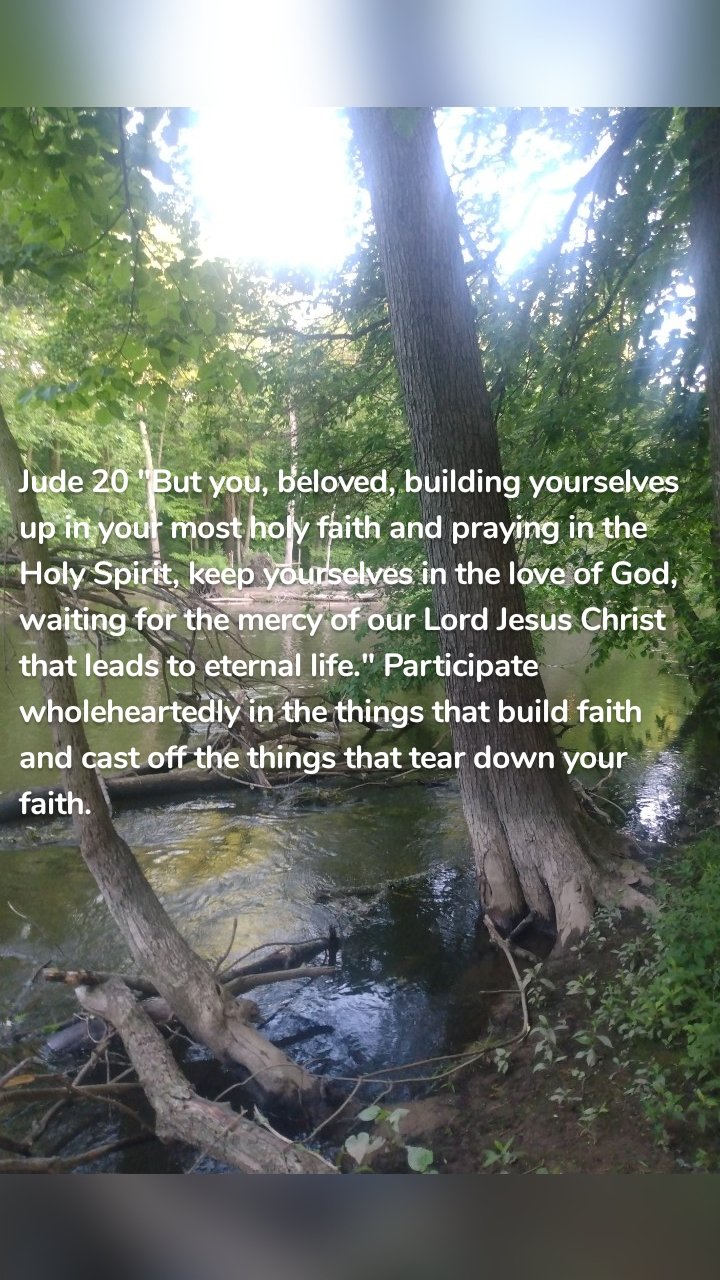 Jude 20 "But you, beloved, building yourselves up in your most holy faith and praying in the Holy Spirit, keep yourselves in the love of God, waiting for the mercy of our Lord Jesus Christ that leads to eternal life." Participate wholeheartedly in the things that build faith and cast off the things that tear down your faith. 