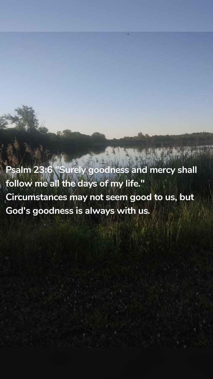 Psalm 23:6 "Surely goodness and mercy shall follow me all the days of my life." Circumstances may not seem good to us, but God's goodness is always with us. 