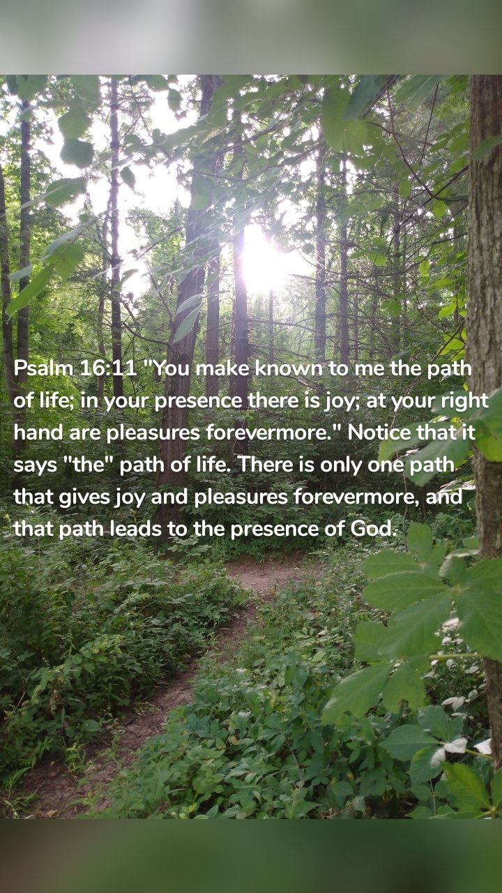 Psalm 16:11 "You make known to me the path of life; in your presence there is joy; at your right hand are pleasures forevermore." Notice that it says "the" path of life. There is only one path that gives joy and pleasures forevermore, and that path leads to the presence of God. 