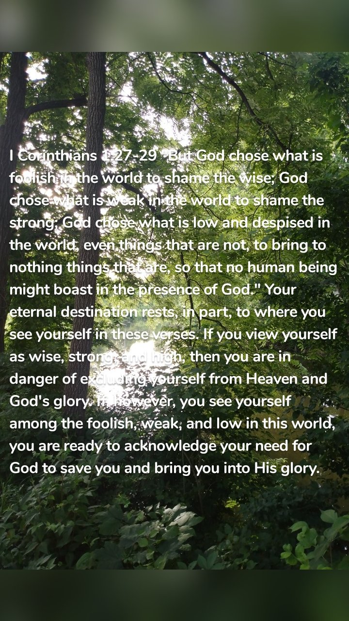 I Corinthians 1:27-29 "But God chose what is foolish in the world to shame the wise; God chose what is weak in the world to shame the strong; God chose what is low and despised in the world, even things that are not, to bring to nothing things that are, so that no human being might boast in the presence of God." Your eternal destination rests, in part, to where you see yourself in these verses. If you view yourself as wise, strong, and high, then you are in danger of excluding yourself from Heaven and God's glory. If, however, you see yourself among the foolish, weak, and low in this world, you are ready to acknowledge your need for God to save you and bring you into His glory. 