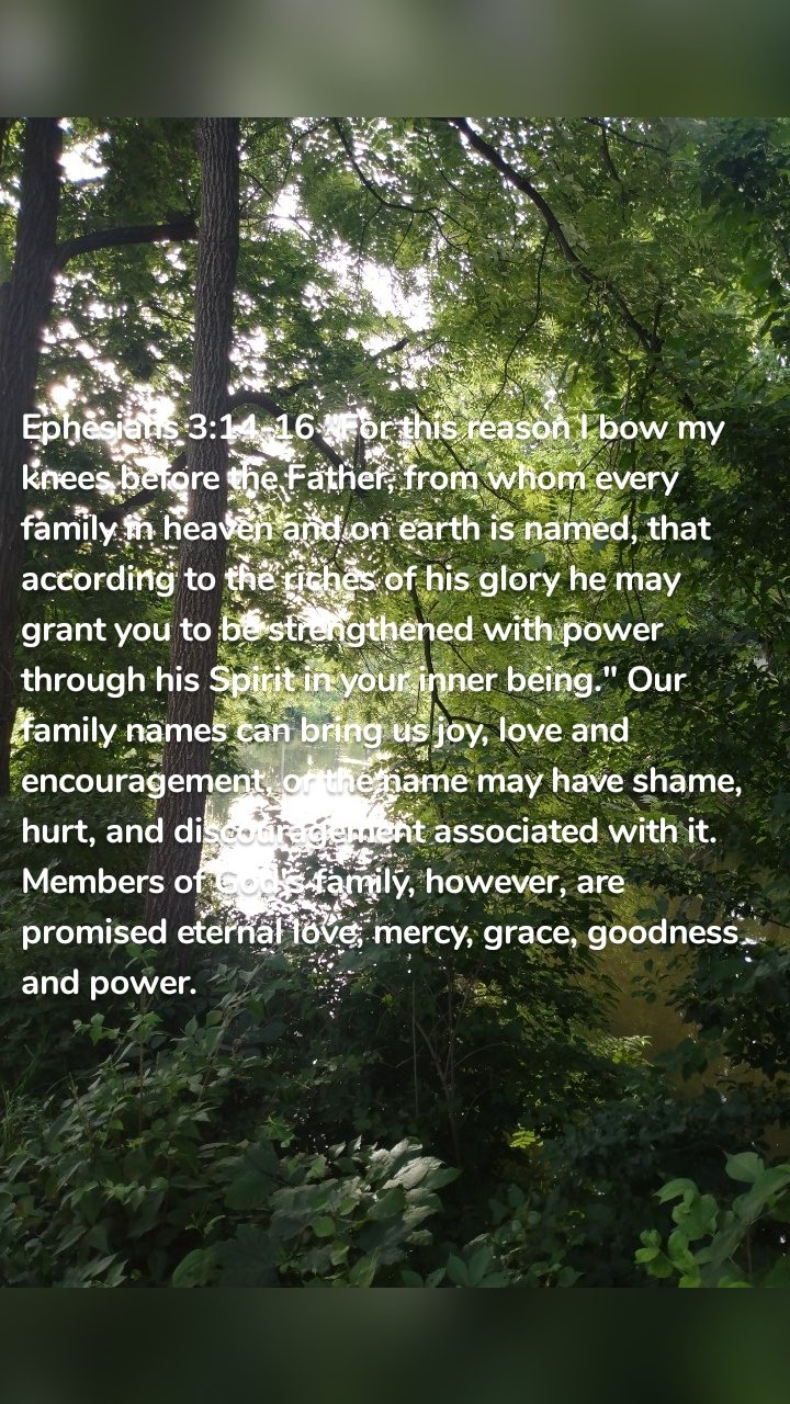 Ephesians 3:14-16 "For this reason I bow my knees before the Father, from whom every family in heaven and on earth is named, that according to the riches of his glory he may grant you to be strengthened with power through his Spirit in your inner being." Our family names can bring us joy, love and encouragement, or the name may have shame, hurt, and discouragement associated with it. Members of God's family, however, are promised eternal love, mercy, grace, goodness and power. 