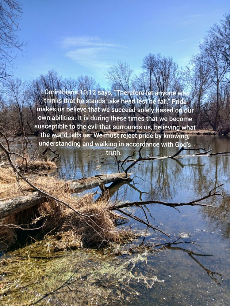 Lest You Fall Reluctant Retiree